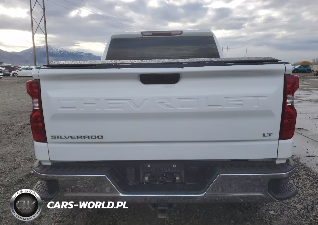 2019 Chevrolet Silverado K1500 Lt VIN:1GCPYDEK9KZ329447 - 6