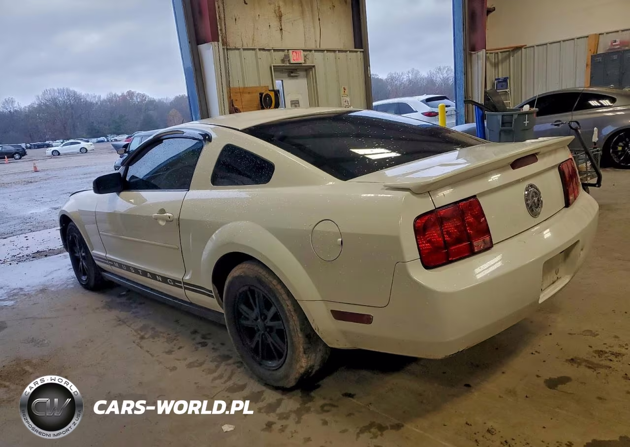 2007 Ford Mustang VIN:1ZVFT80NX75307097 - 2
