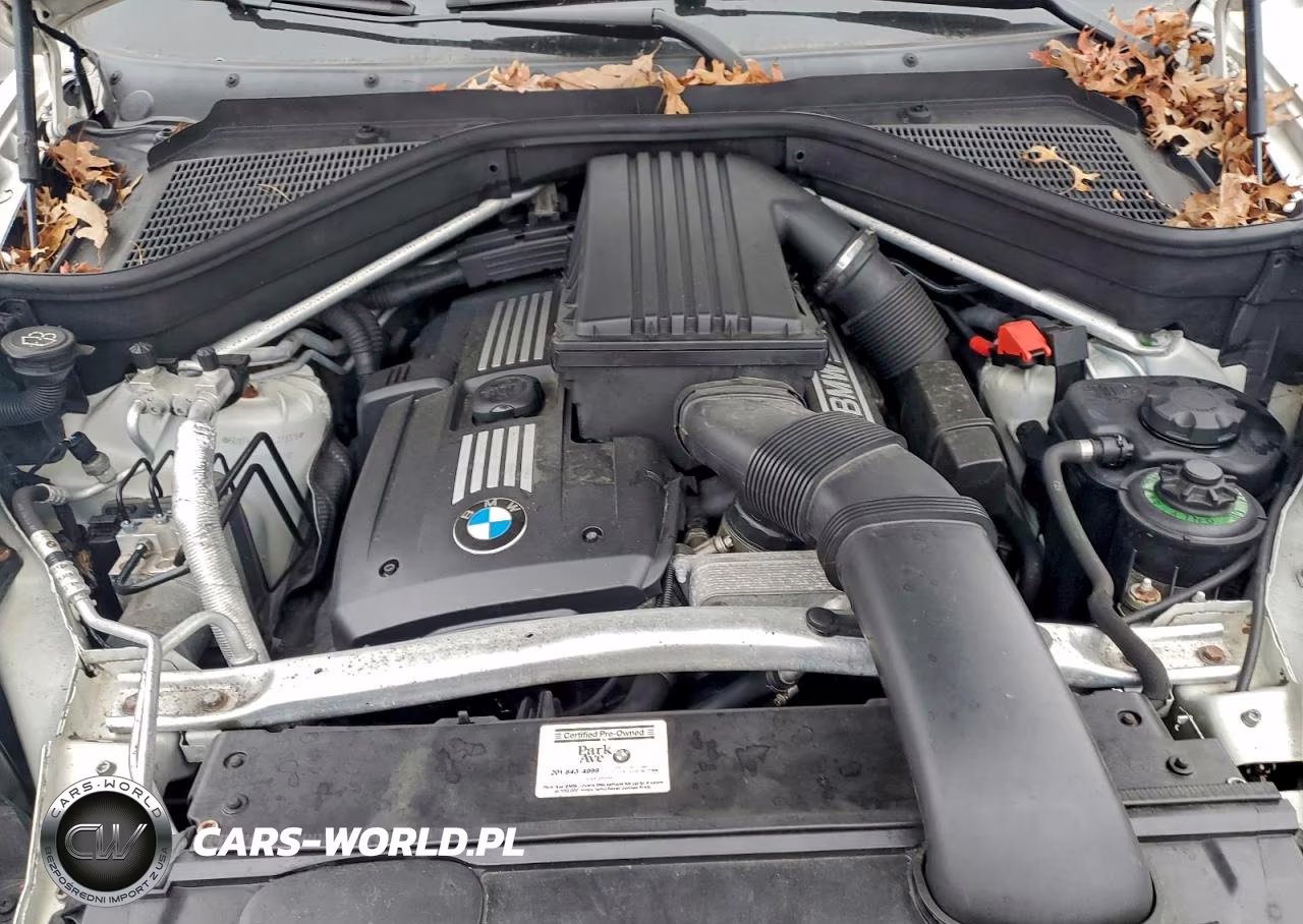 2009 BMW X5 xDrive30I VIN:5UXFE43529L273378 - 12