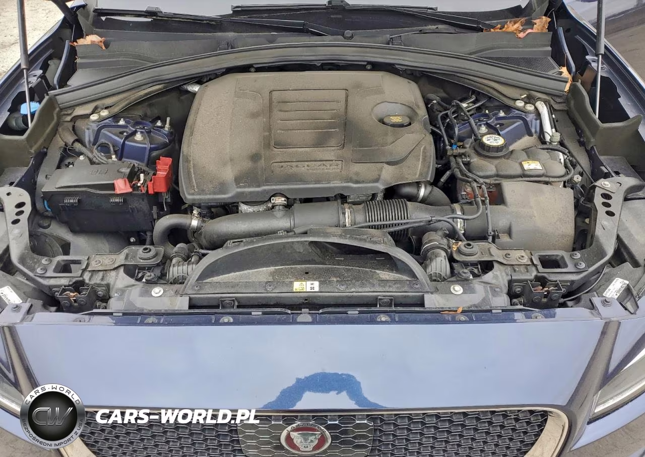 2019 Jaguar F-Pace Premium VIN:SADCJ2FX8KA609459 - 12