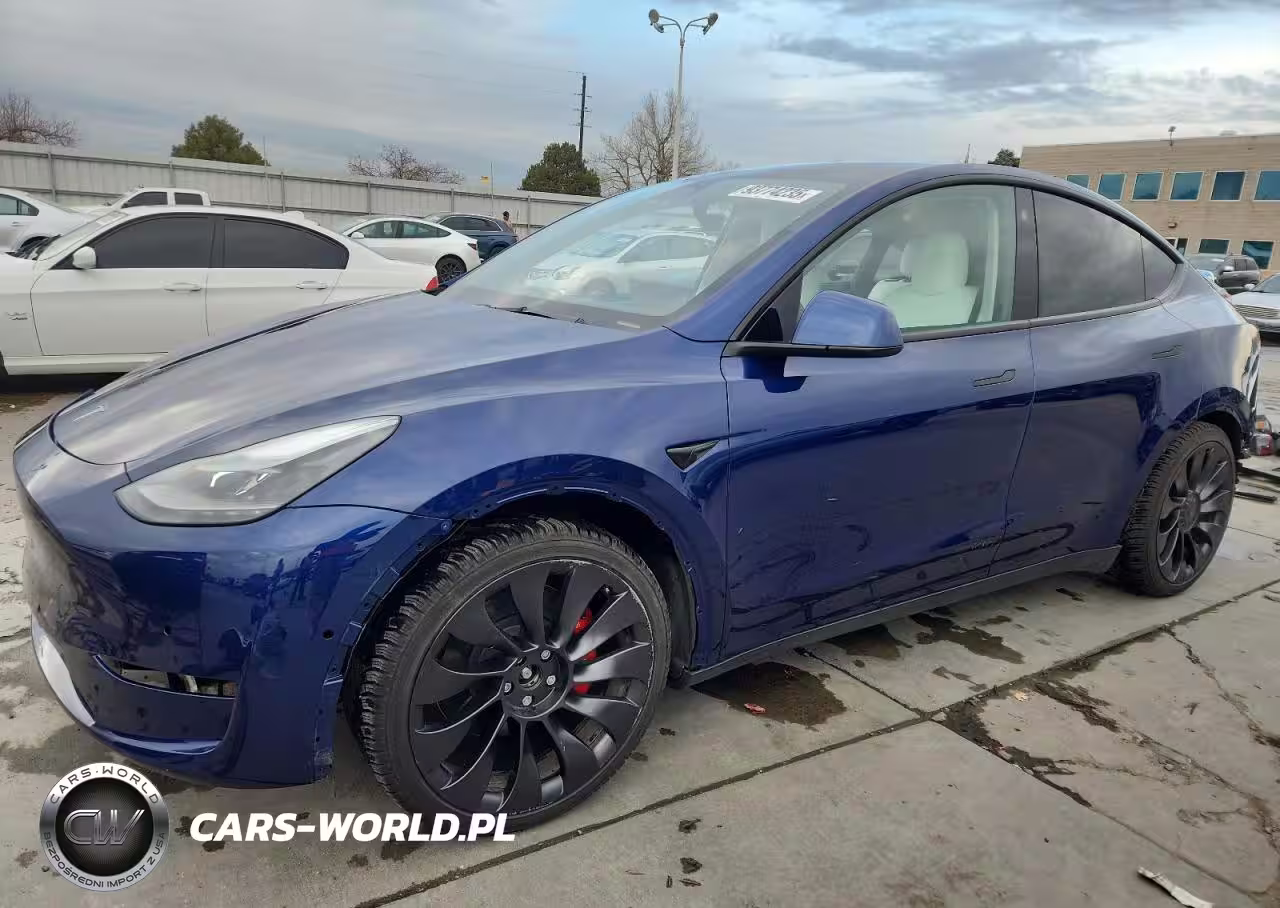 2022 Tesla Model Y