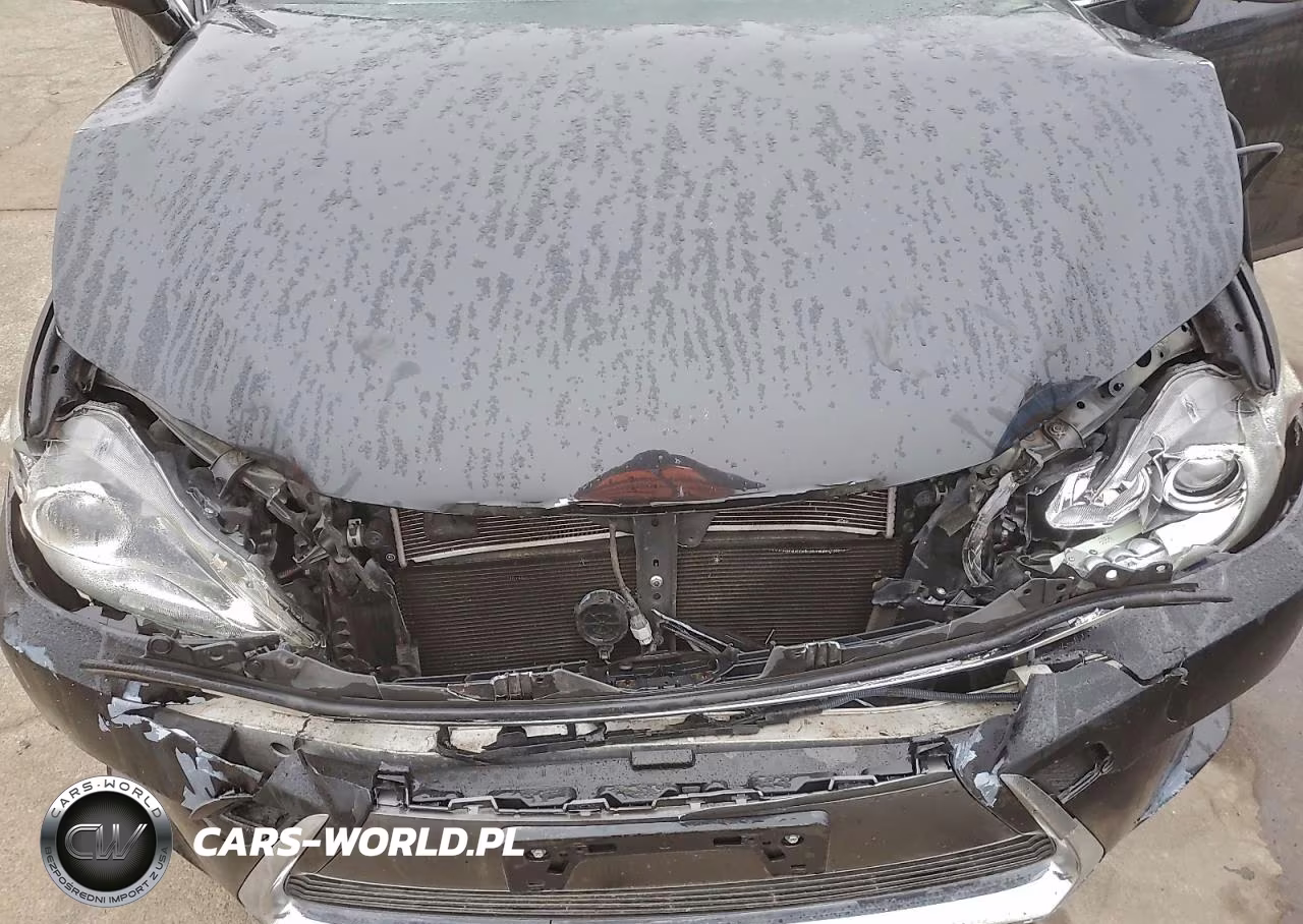 2017 Lexus Ct 200H VIN:JTHKD5BH8H2295408 - 11