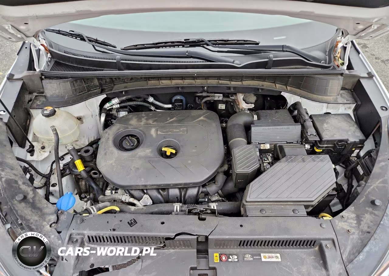 2019 Hyundai Tucson Se VIN:KM8J2CA46KU970962 - 12
