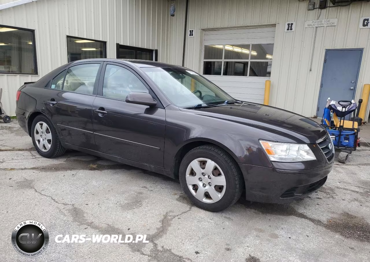 2009 Hyundai Sonata Gls VIN:5NPET46C89H421342 - 4