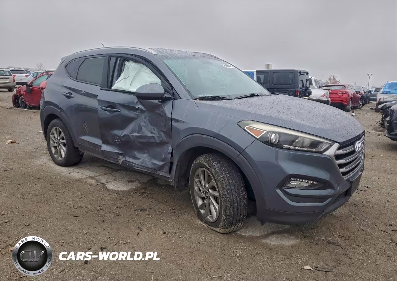 2017 Hyundai Tucson Limited VIN:KM8J33A48HU439736 - 4