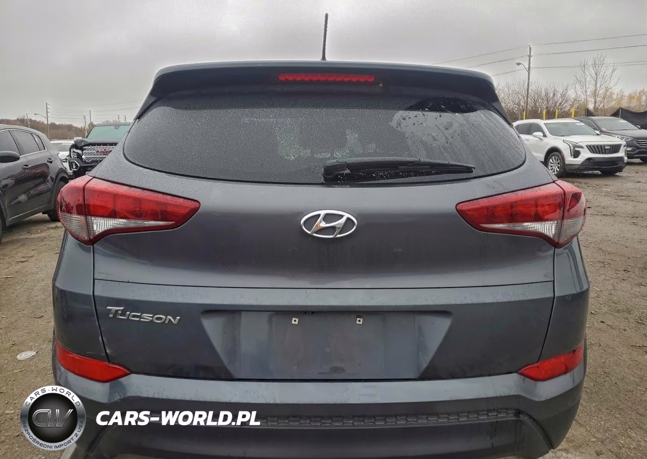 2017 Hyundai Tucson Limited VIN:KM8J33A48HU439736 - 6