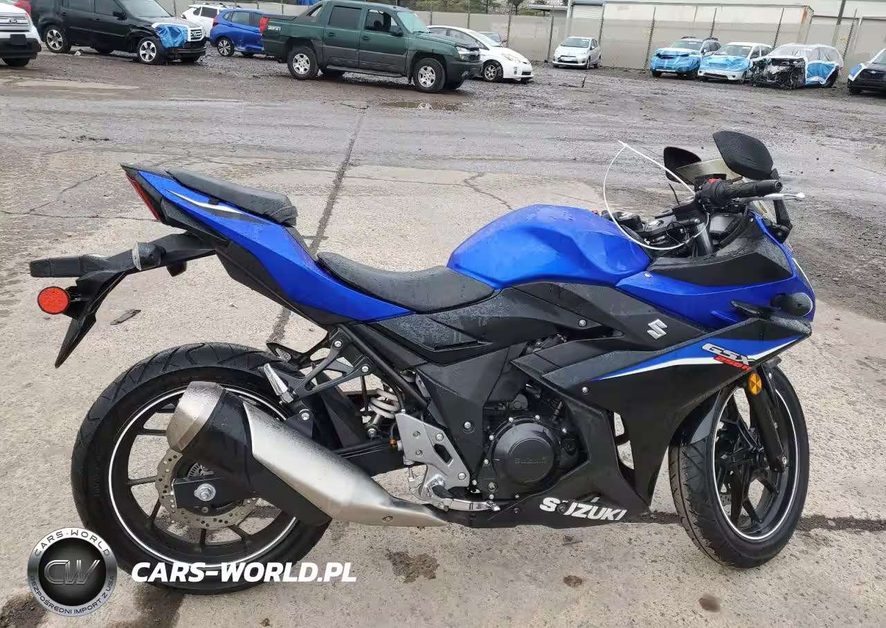 2020 Suzuki Gsx250R M