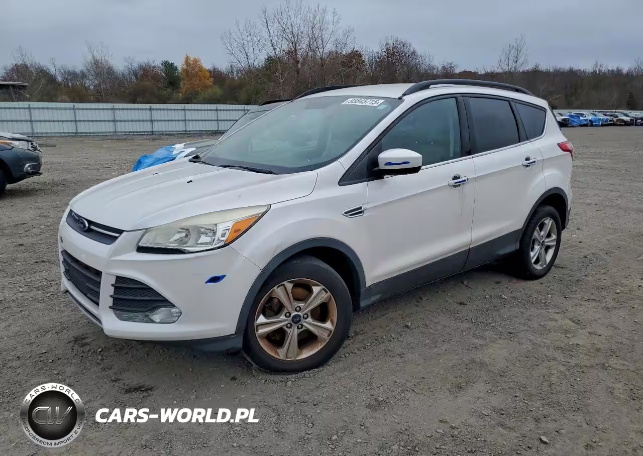 2014 Ford Escape Se