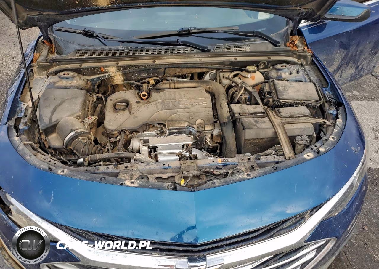 2019 Chevrolet Malibu Lt VIN:1G1ZD5ST8KF187237 - 11