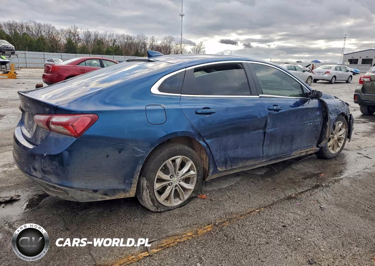 2019 Chevrolet Malibu Lt VIN:1G1ZD5ST8KF187237 - 3