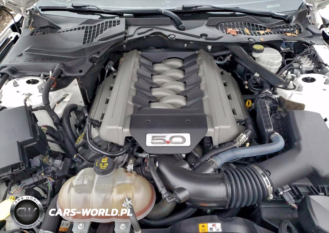 2017 Ford Mustang Gt VIN:1FA6P8CF6H5319637 - 11
