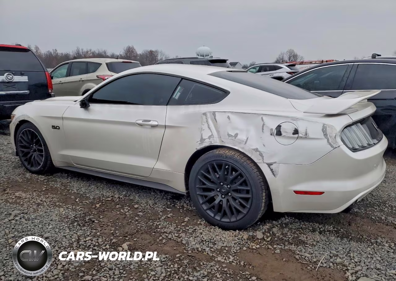 2017 Ford Mustang Gt VIN:1FA6P8CF6H5319637 - 2