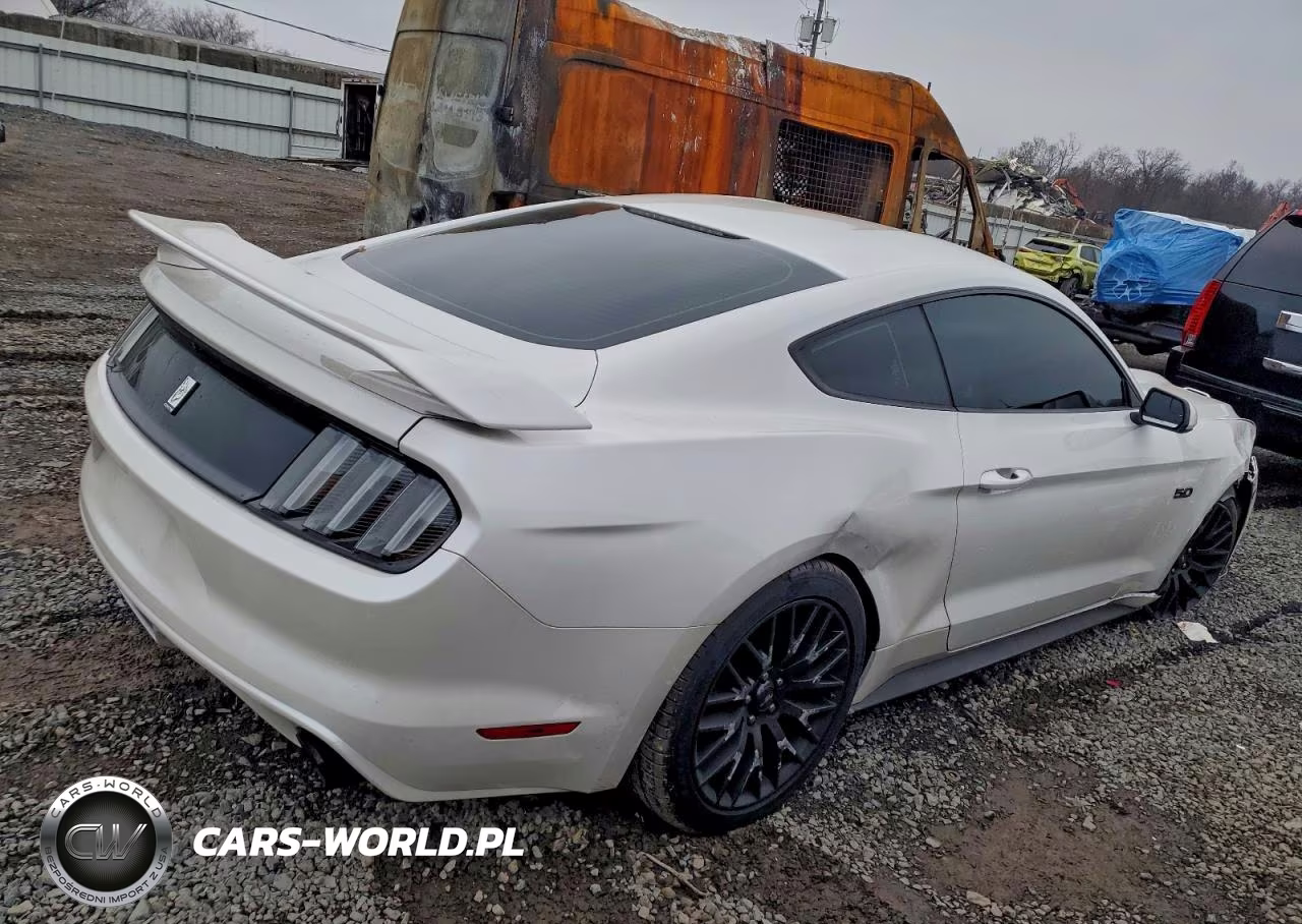 2017 Ford Mustang Gt VIN:1FA6P8CF6H5319637 - 3