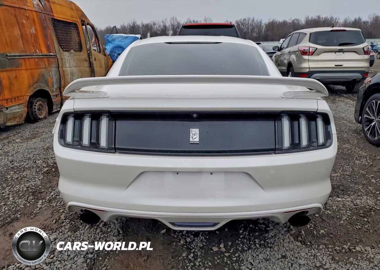 2017 Ford Mustang Gt VIN:1FA6P8CF6H5319637 - 6