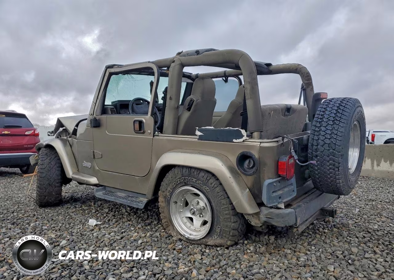 2003 Jeep Wrangler - Tj Sahara VIN:1J4FA59S13P311953 - 2
