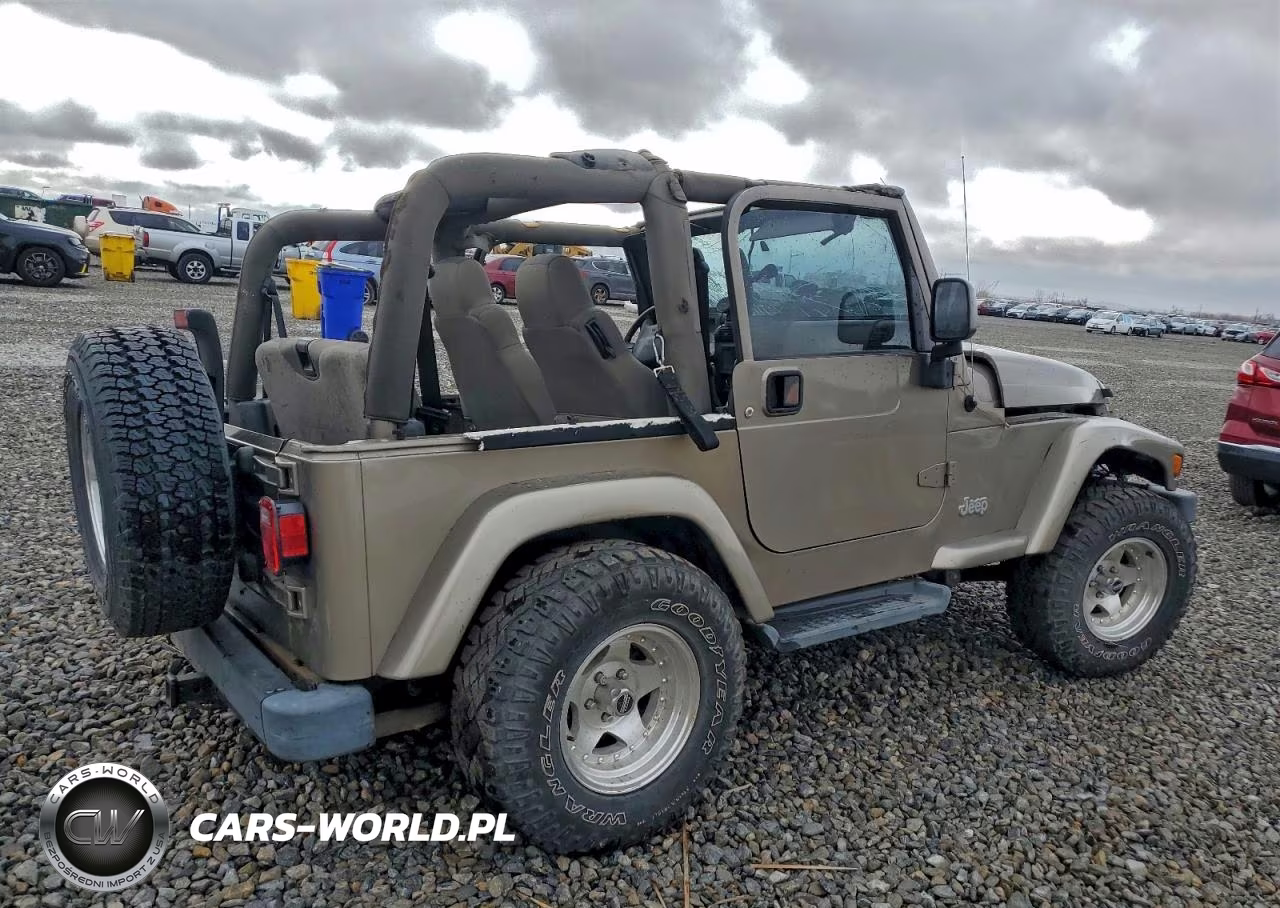 2003 Jeep Wrangler - Tj Sahara VIN:1J4FA59S13P311953 - 3