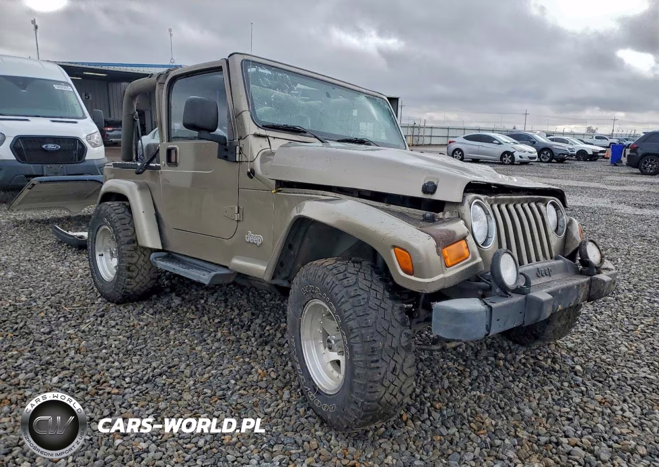 2003 Jeep Wrangler - Tj Sahara VIN:1J4FA59S13P311953 - 4