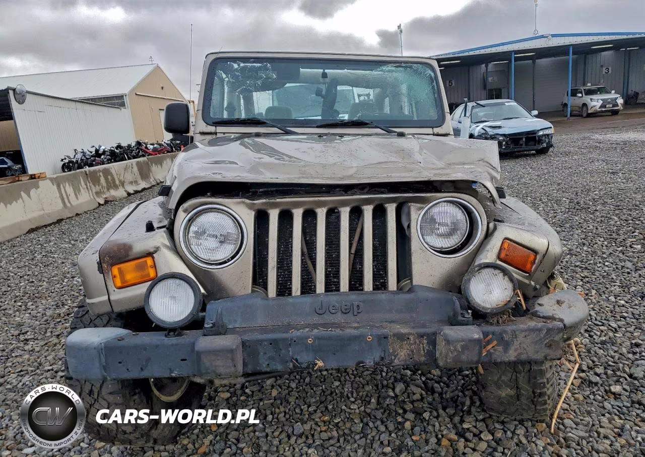 2003 Jeep Wrangler - Tj Sahara VIN:1J4FA59S13P311953 - 5