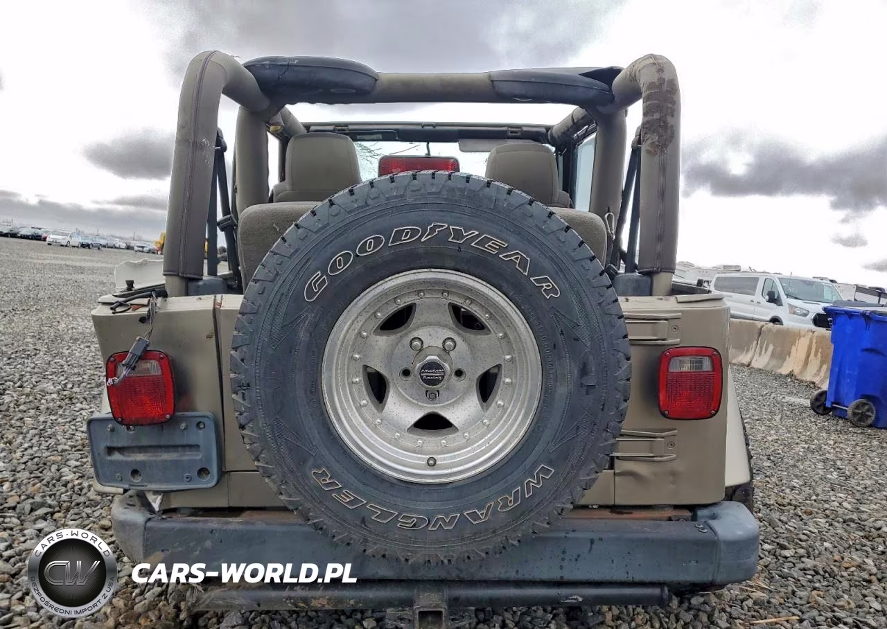 2003 Jeep Wrangler - Tj Sahara VIN:1J4FA59S13P311953 - 6