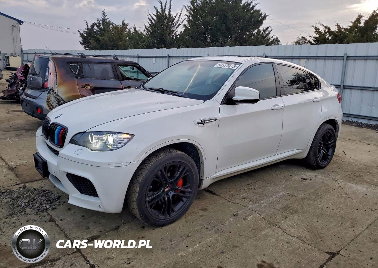 2011 BMW X6 M
