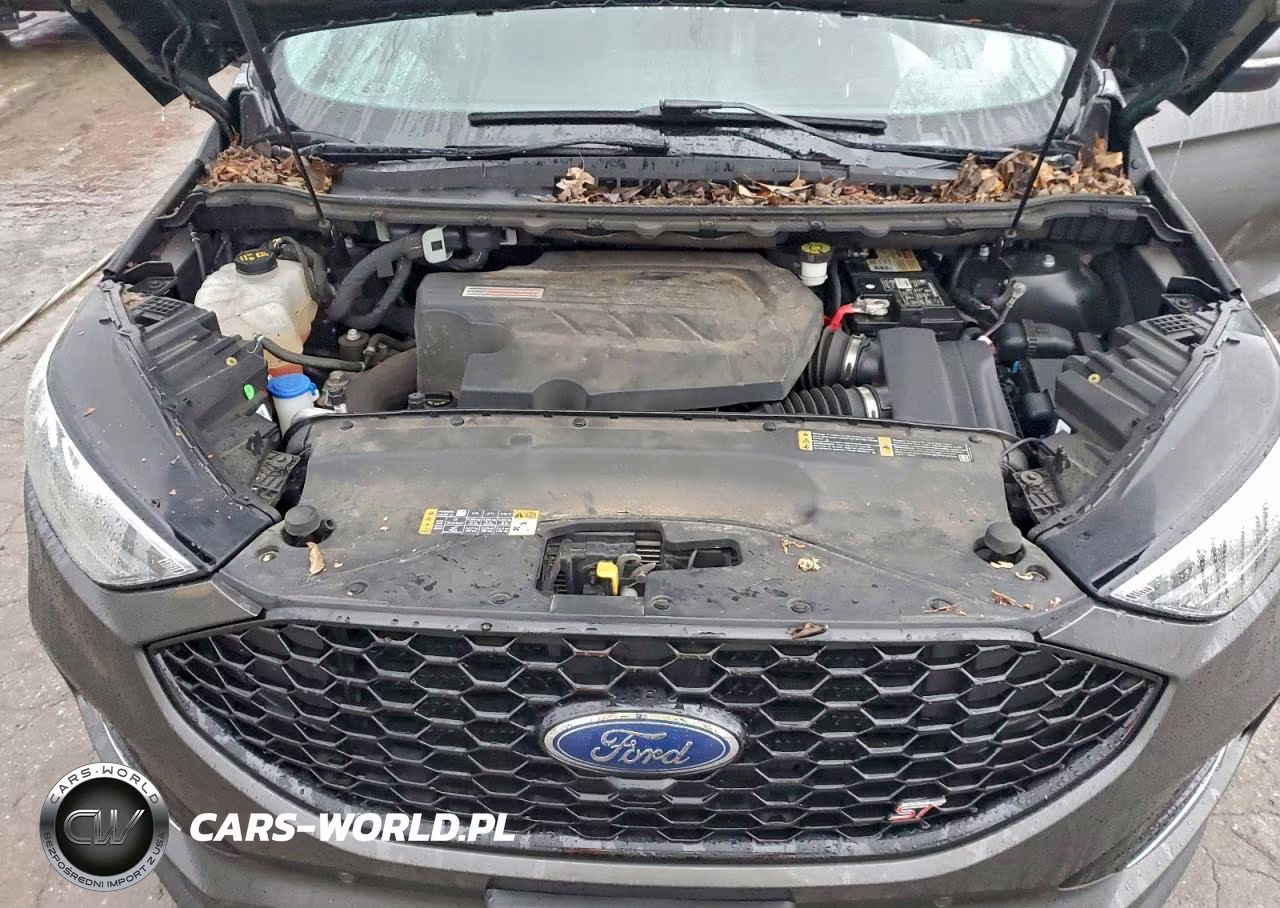 2019 Ford Edge St VIN:2FMPK4AP6KBB26355 - 12