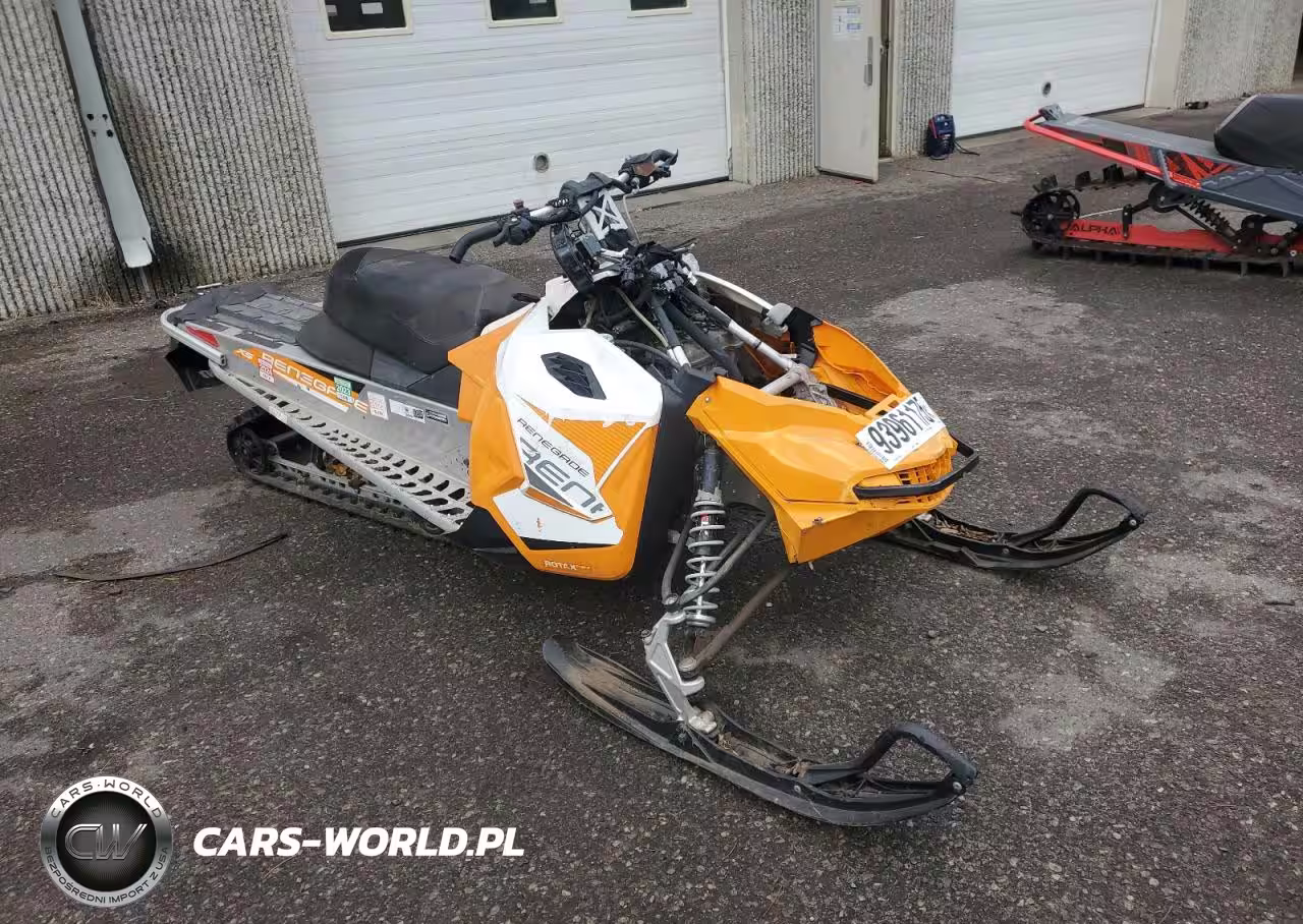 2019 Skid Renegade Sport