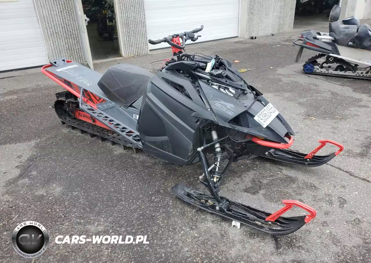 2020 Arctic Cat Wildcat