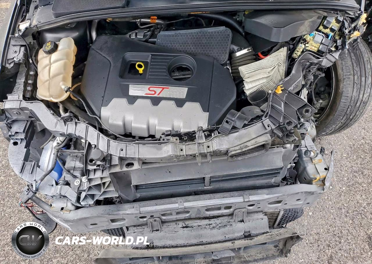2018 Ford Focus St VIN:1FADP3L95JL332109 - 11