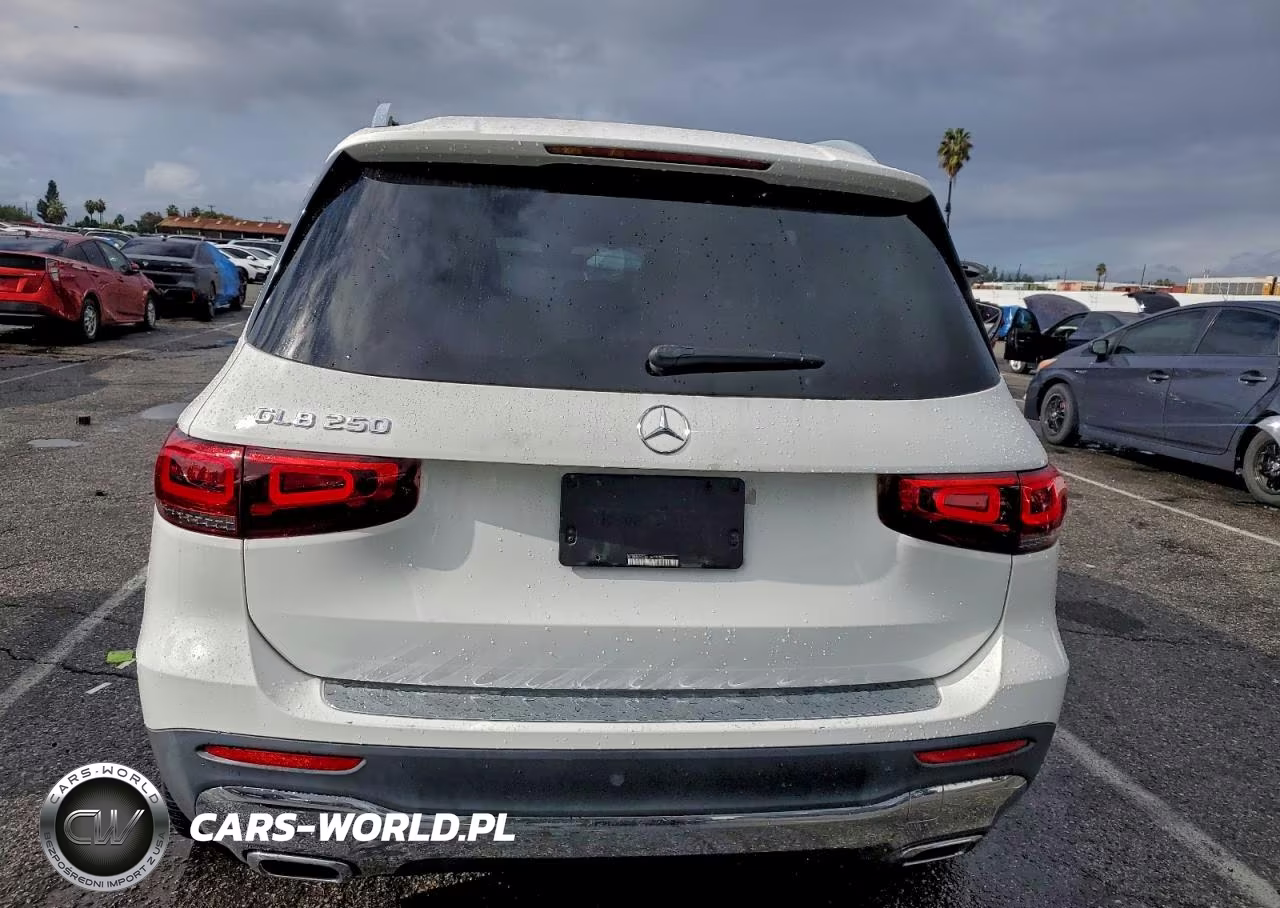 2020 Mercedes-Benz Glb 250 VIN:W1N4M4GB6LW019294 - 6