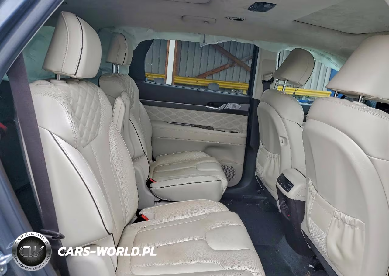 2020 Hyundai Palisade Limited VIN:KM8R5DHE6LU143768 - 10