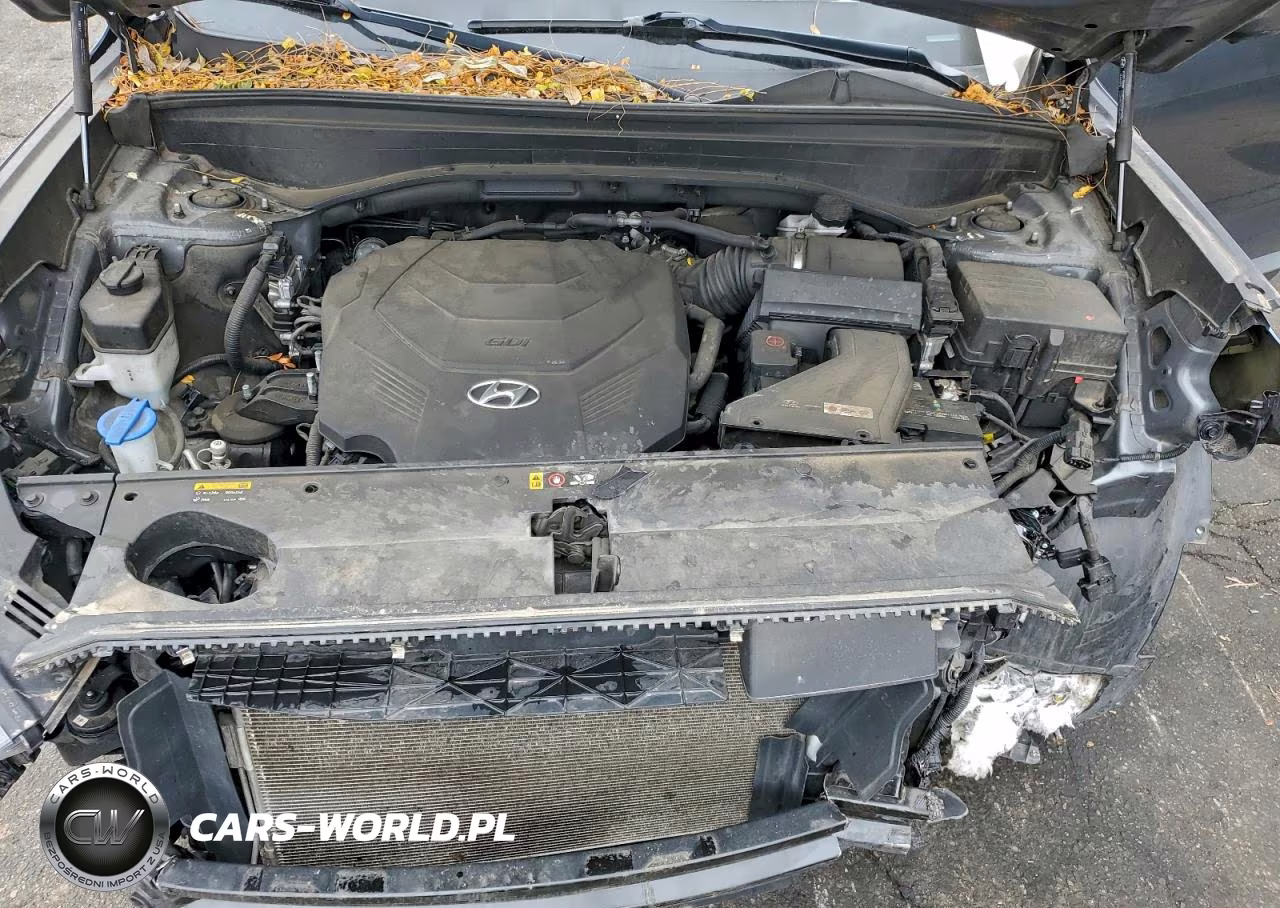 2020 Hyundai Palisade Limited VIN:KM8R5DHE6LU143768 - 11
