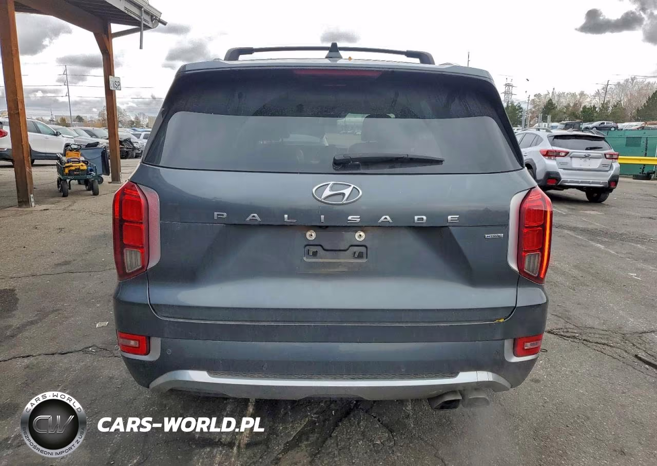 2020 Hyundai Palisade Limited VIN:KM8R5DHE6LU143768 - 6