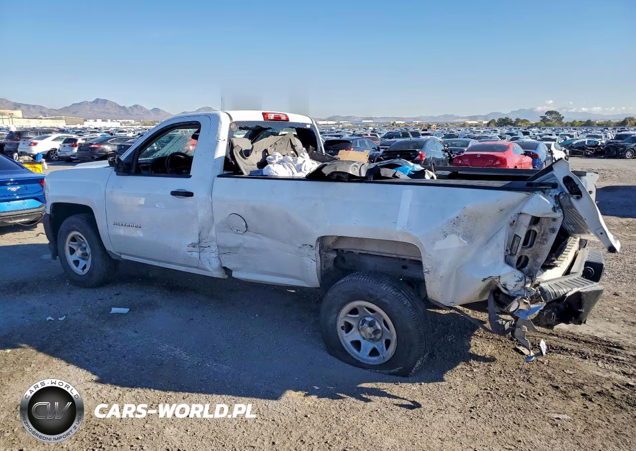 2016 Chevrolet Silverado C1500 VIN:1GCNCNEH9GZ101696 - 2