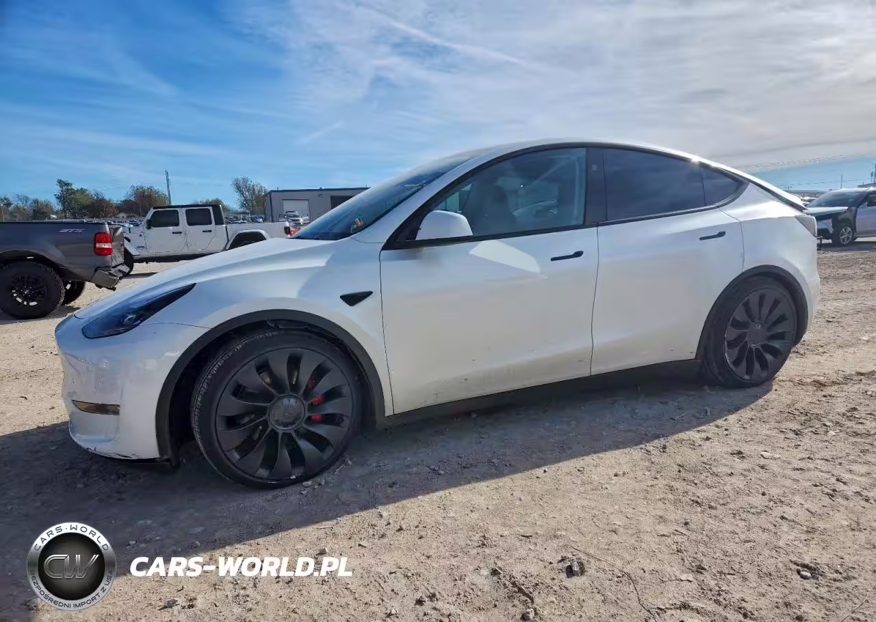 2024 Tesla Model Y