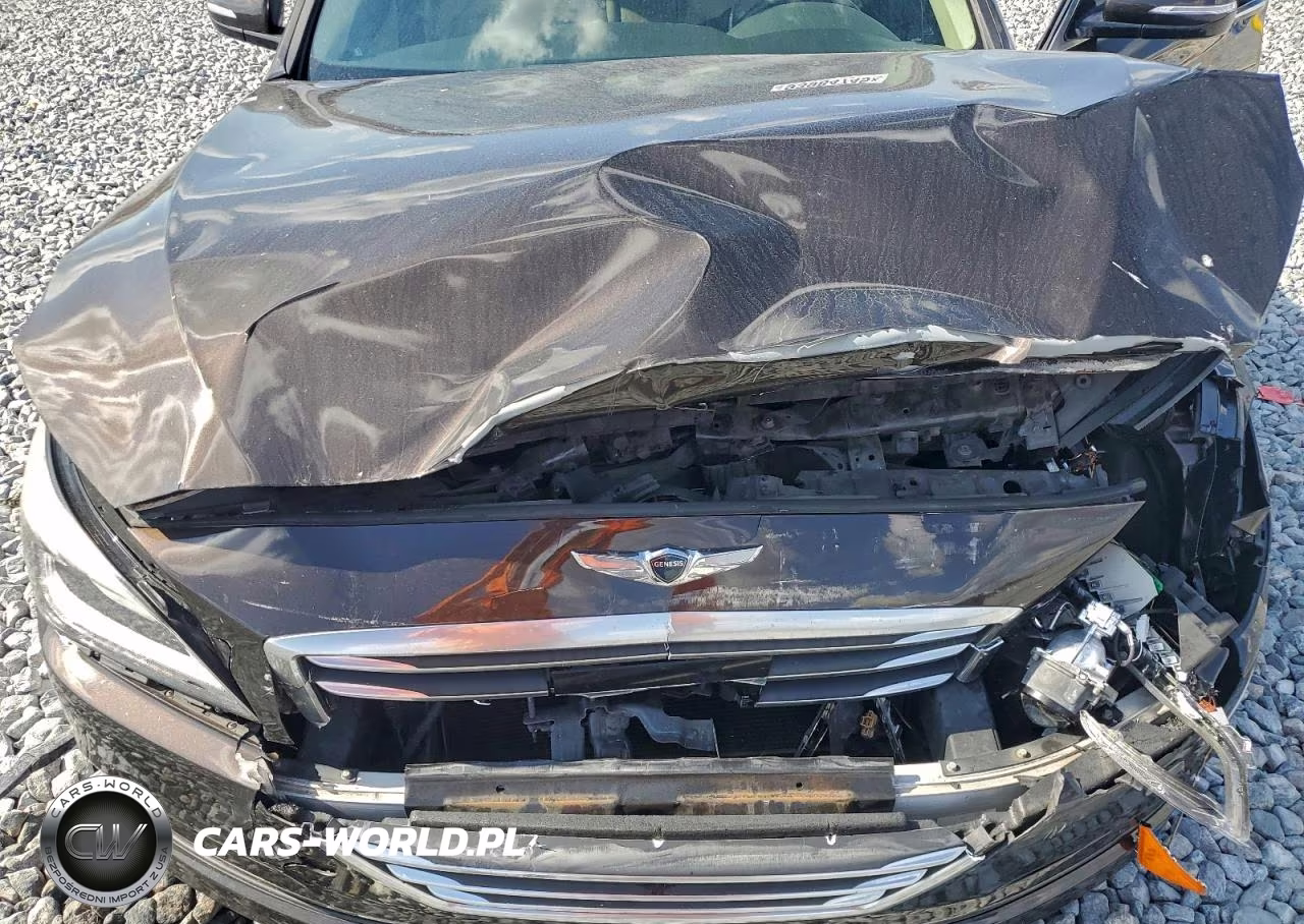 2017 Genesis G80 3.8 VIN:KMHGN4JE6HU178450 - 11