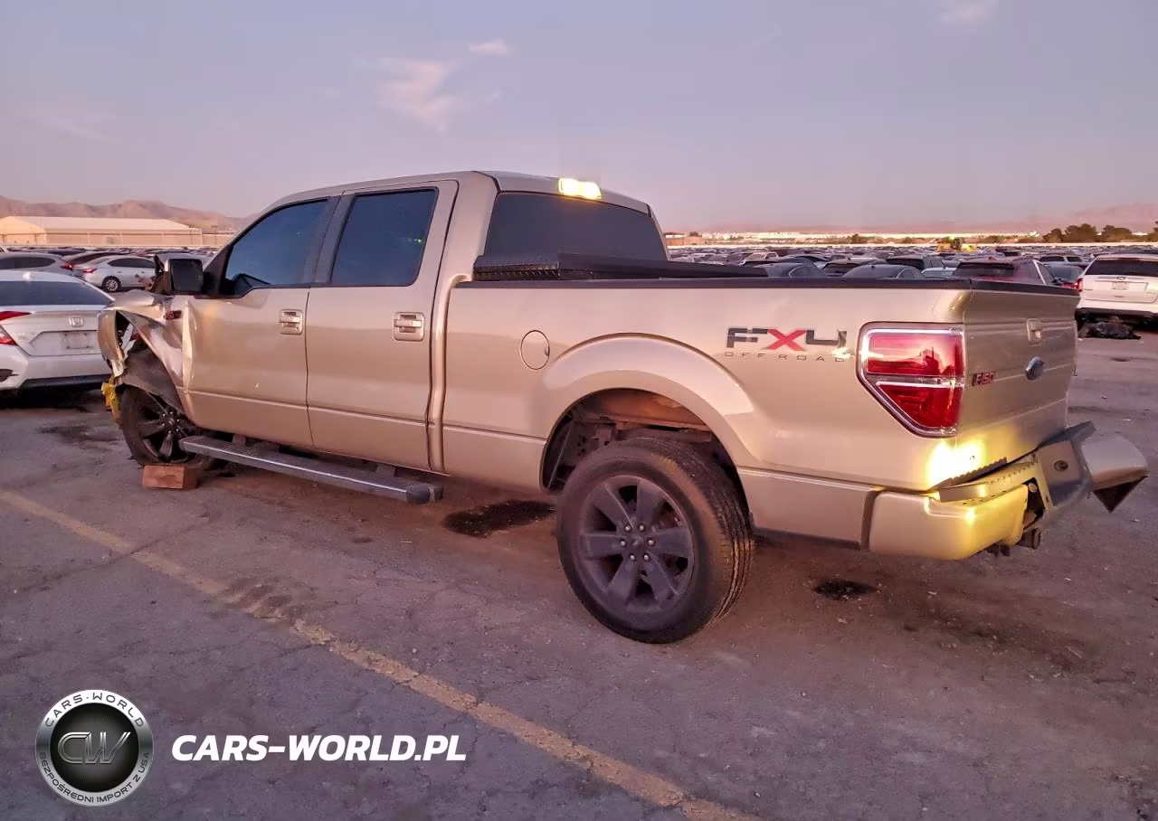 2009 Ford F150 Supercrew VIN:1FTRW12829FA04138 - 2