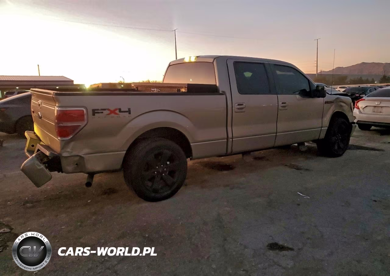 2009 Ford F150 Supercrew VIN:1FTRW12829FA04138 - 3