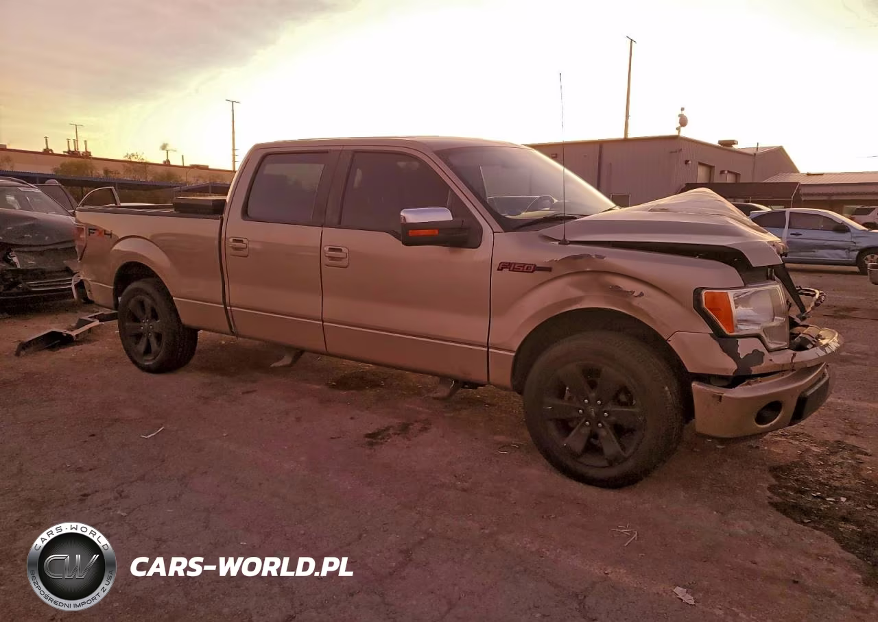 2009 Ford F150 Supercrew VIN:1FTRW12829FA04138 - 4