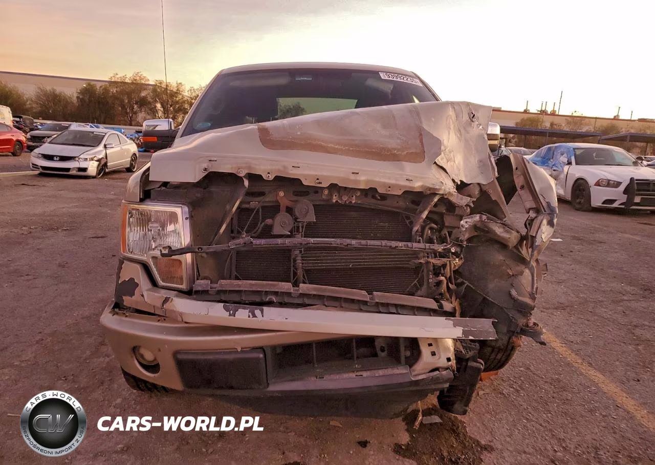 2009 Ford F150 Supercrew VIN:1FTRW12829FA04138 - 5