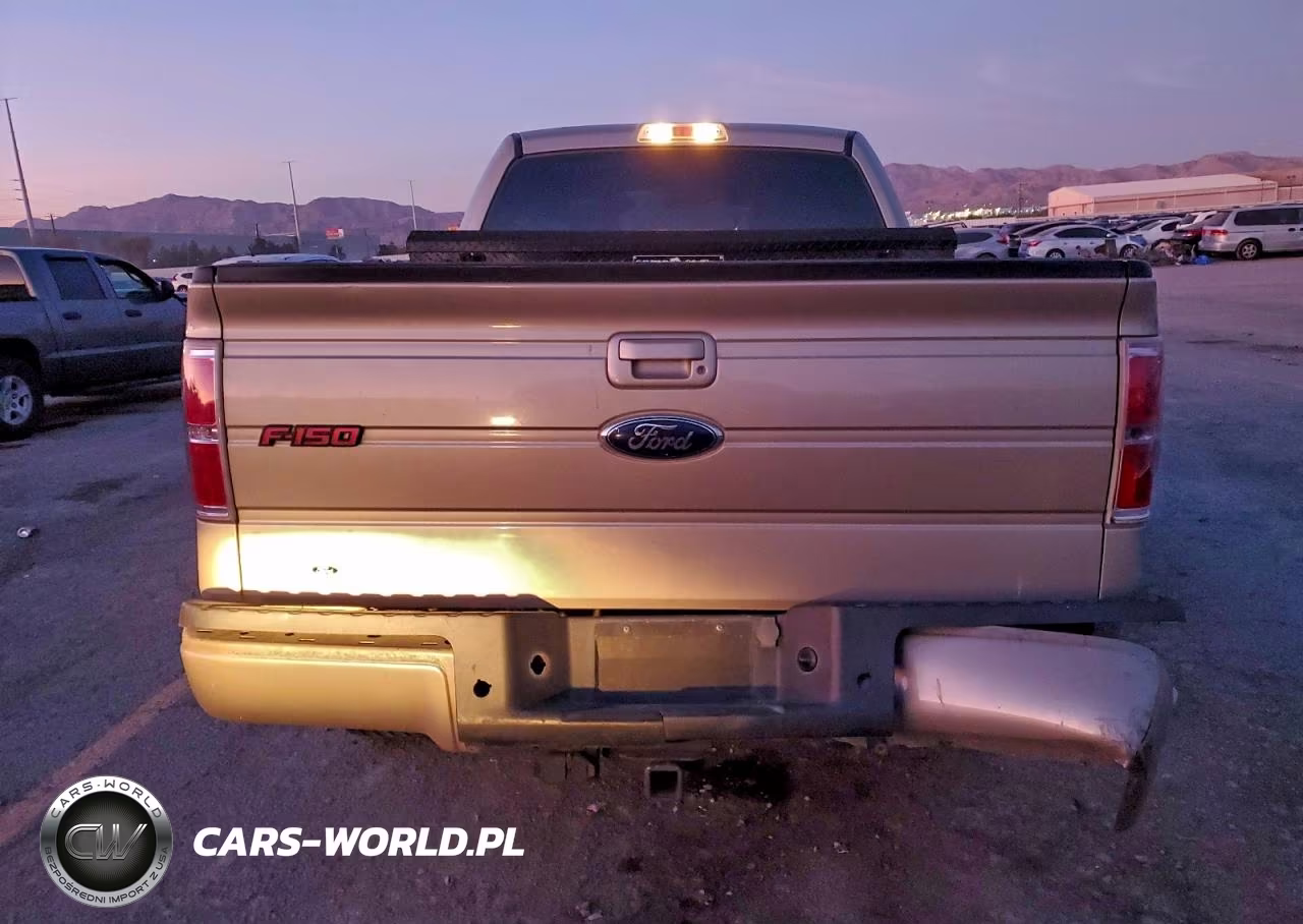 2009 Ford F150 Supercrew VIN:1FTRW12829FA04138 - 6
