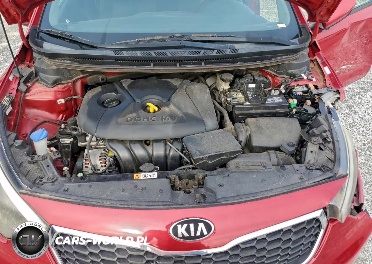 2016 Kia Forte Lx VIN:KNAFK4A6XG5563551 - 11