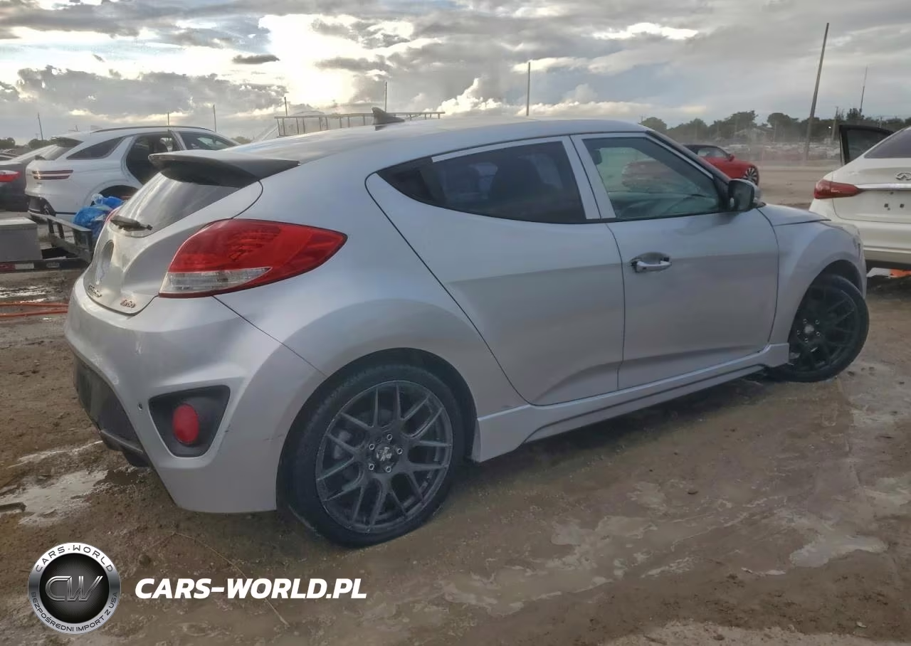 2013 Hyundai Veloster Turbo VIN:KMHTC6AE0DU171231 - 3