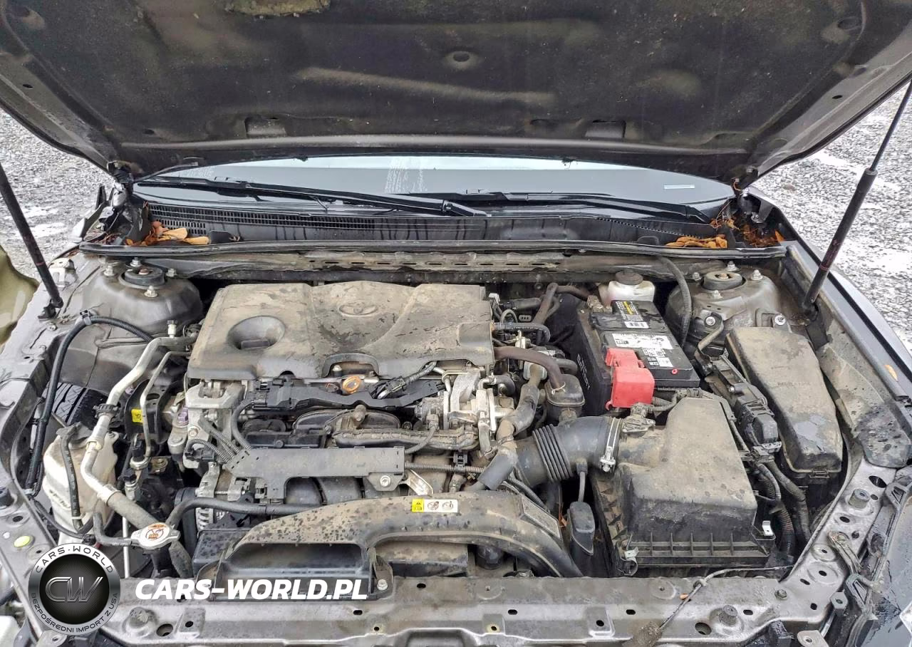 2019 Toyota Camry L VIN:4T1B11HK5KU856824 - 11