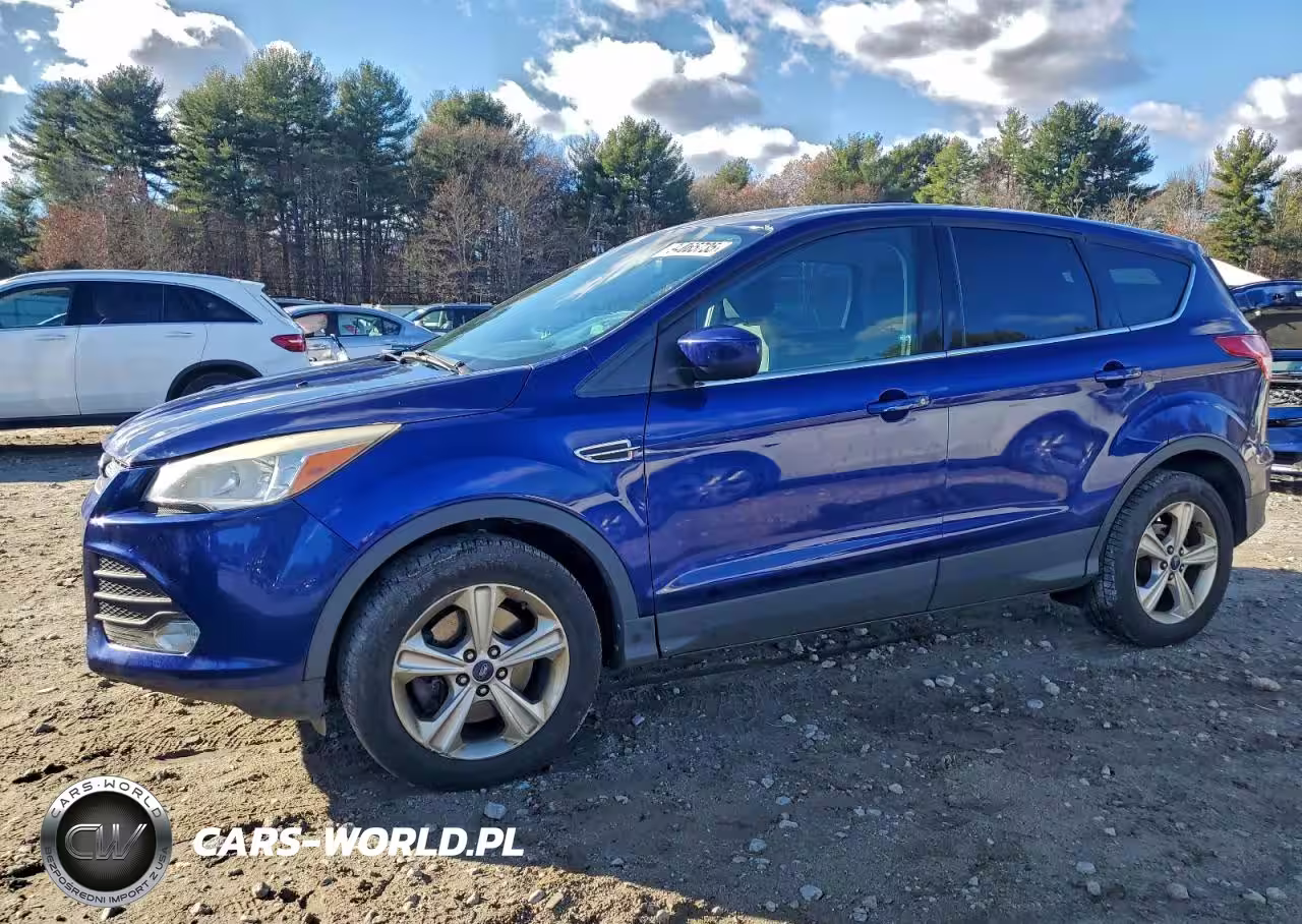 2013 Ford Escape Se