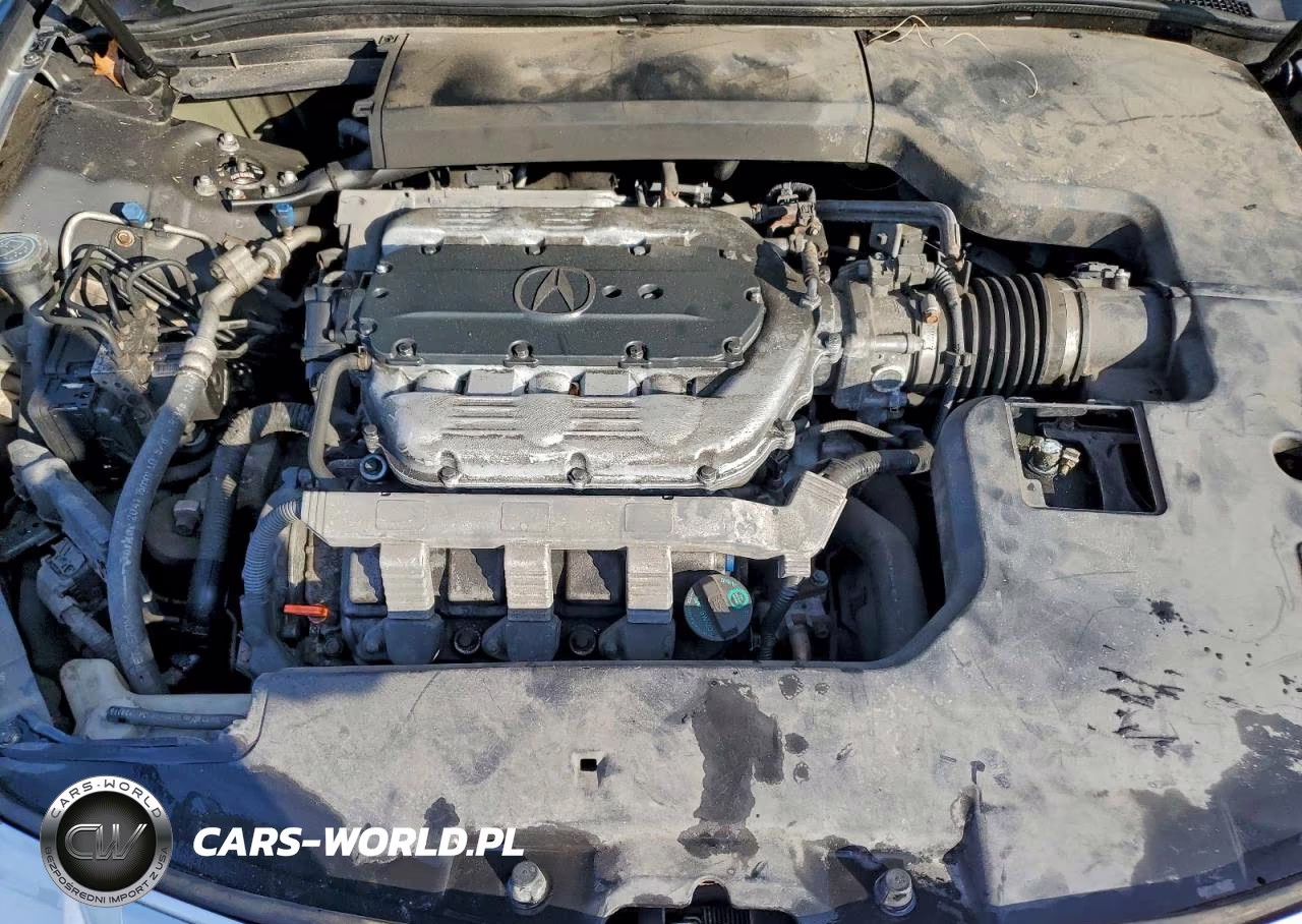 2010 Acura Tl VIN:19UUA9F55AA000207 - 11