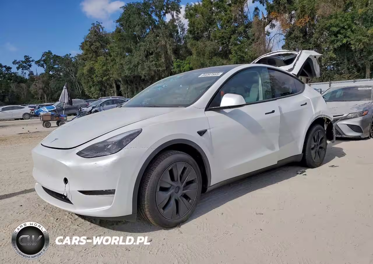 2024 Tesla Model Y