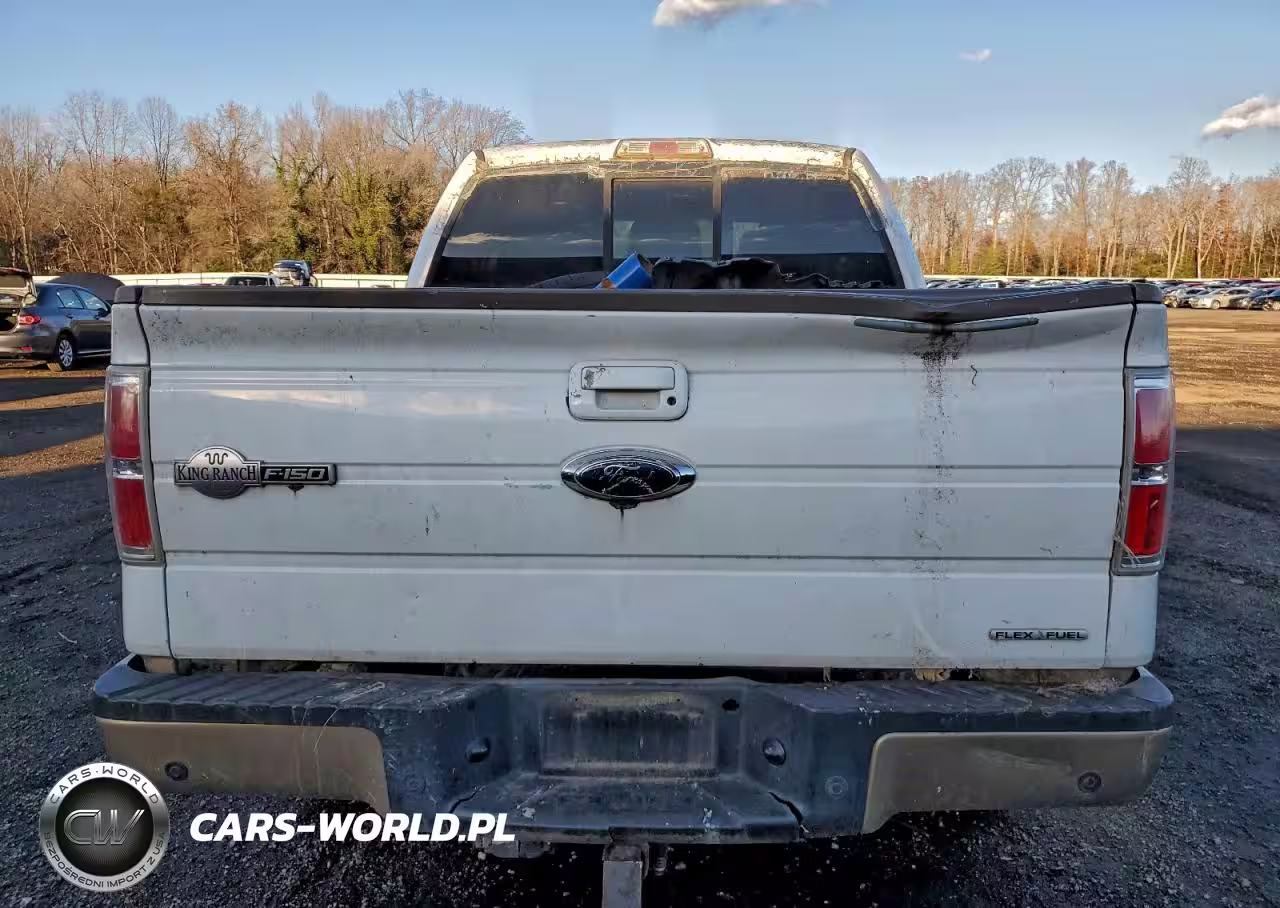 2011 Ford F150 Supercrew VIN:1FTFW1EF0BKD00561 - 6