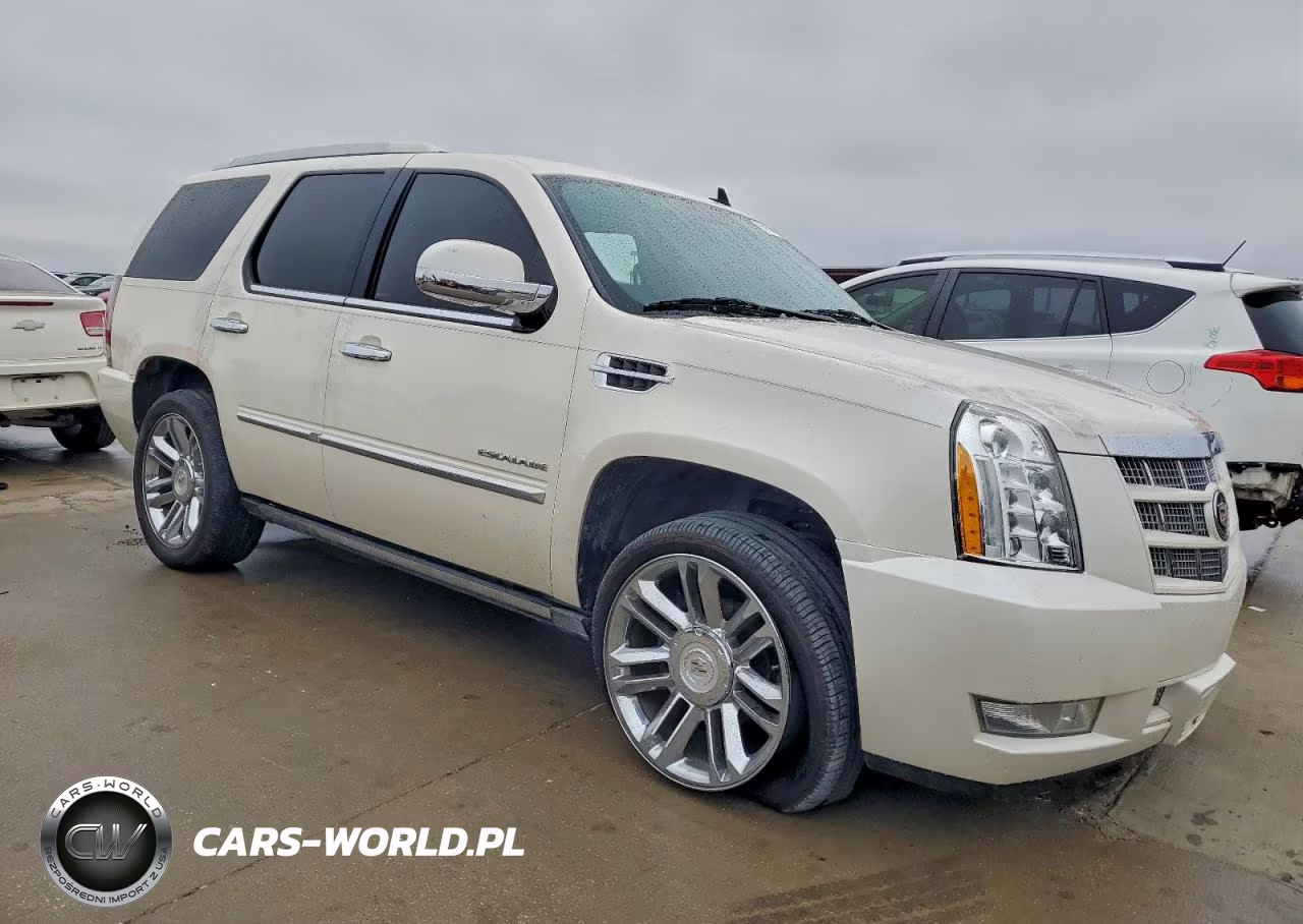 2013 Cadillac Escalade Platinum VIN:1GYS4DEF1DR278211 - 4
