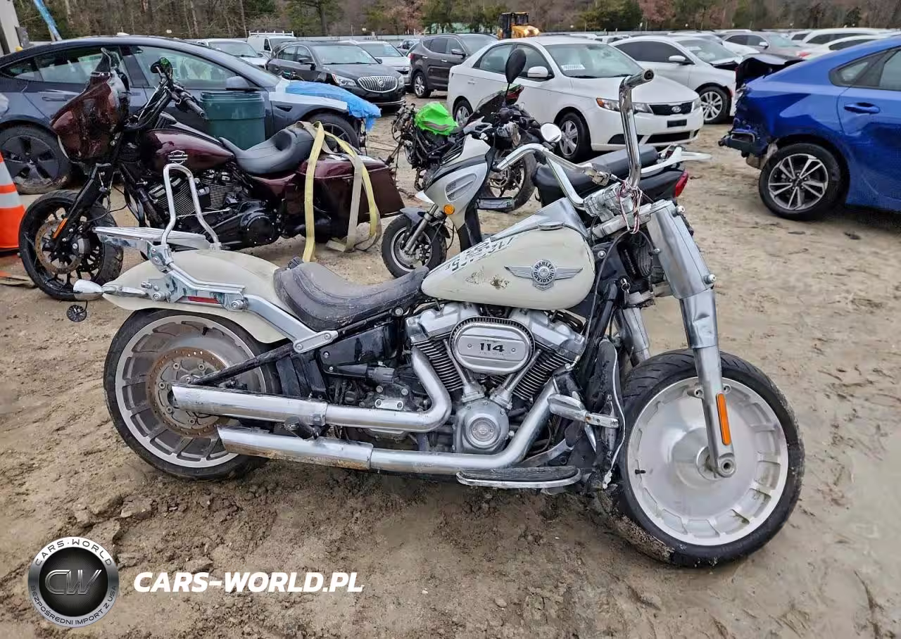 2018 Harley-Davidson Flfbs Fat Boy 114