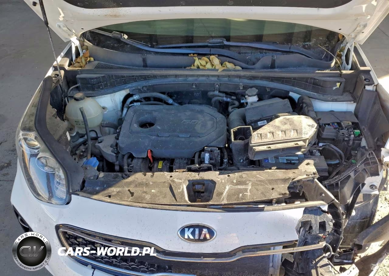 2018 Kia Sportage Lx VIN:KNDPMCAC1J7386479 - 12